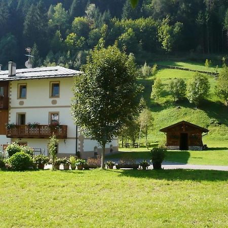 B&B Il Sorriso Dei Nonni Pracorno di Rabbi Ngoại thất bức ảnh